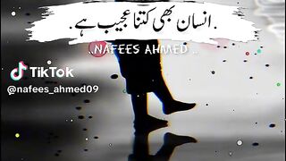 babar shahzad