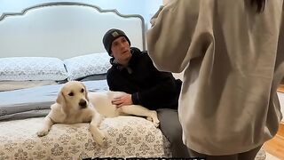 World Easiest Decision ???? #doglover #puppy #goldenretriever