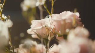 Grace Leer - Best Friend for Life (Acoustic) (Official Video)