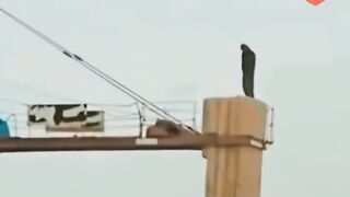الصلاة عماد الدين