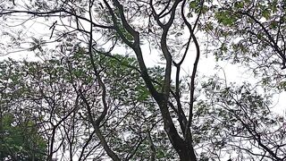 Nature ????????