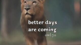 Better days are coming