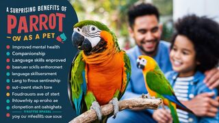 The Surprising Benefits of Owning a Parrot as a Pet