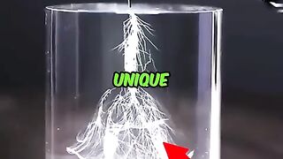 Lichtenberg figures. Basically shooting electrons from a particle accelerator at nearly the speed of light into a block of acrylic