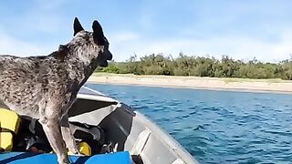 That boy can go!