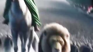Part_3____Ali_Ke_Dushman_Ne_Ali_Par_waar_Kiya_#shorts(480p).