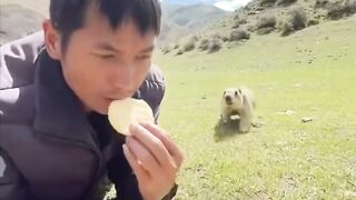 To win trust, sitting still in the field and share with wild animals