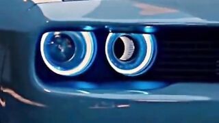 محبي السيارات