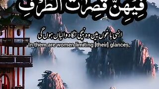 Please likes shares comments and subscribe me