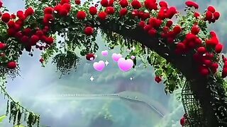 status,status video,status song,status whatsap,beast song,good song,video,songs