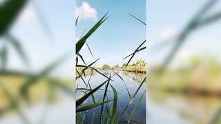 Natural panorama full of peace #nature #spoil the eyes #flowers #plants
