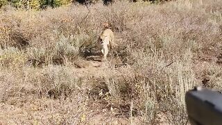 It almost ate him
