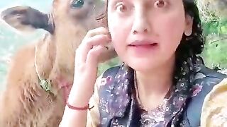 Entertainment video