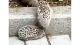 Вот так и бывает у людей