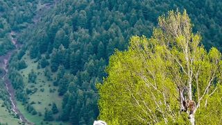 Beutifull plaze in kasmir ➤You need to go at least once in your life