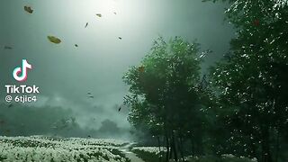 The beauty of nature