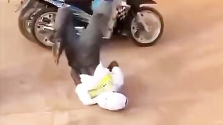 funniest fails