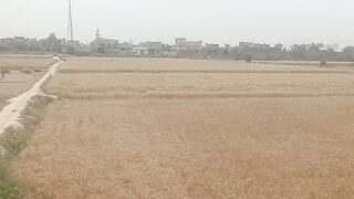 Village