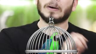 Why CBI Called Parrot?