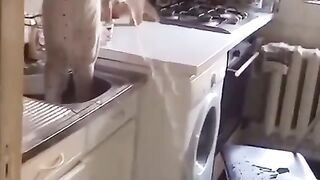 Compilation