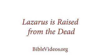 John-11-Lazarus-Is-Raised-from-the-Dead-The-Bible