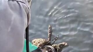 Hit the JACKPOT While Magnet Fishing (One in a Million Chance!)