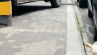 Cats Fight #cat #catsoftiktok #catvideo #funnycat #fyp #cute #trending #trendingvideo @TikTok
