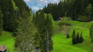 Suisse