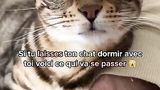 Fait dodo avec ton matou.