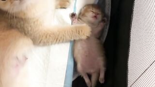 Proud mom and her little precious angel!????????????