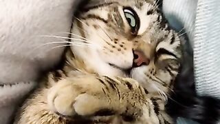 À vos positions, prêt ? Dormez !