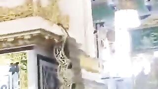 mashaallah_saudiarabia