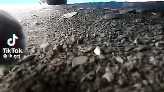 Try not to laugh