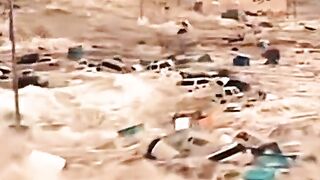 Природа - царь и бог
