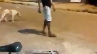 Man vs dog