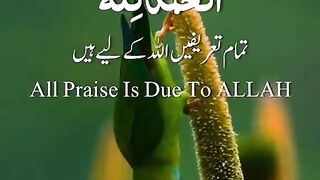 Razzaq5- Beautiful video - YouTube video -TikTok video -Quran verses-varil video -اسلامی video - plz subscribe and watch my video