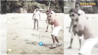 Highest total Chased in T20 cricket history made