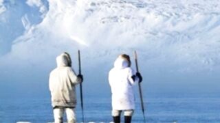 The Arctic Ocean is home to many wild animals