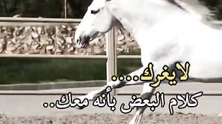 ينشئ مدون الفيديو هذا مقاطع فيديو رائعة! تعال وشاهد!    https://k.kwai.com/u/@Md6090/v7QikmCx