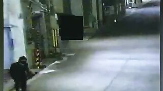 Ninja Thief Of Japan