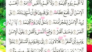 Beautiful Recitation Quran  Surah Alqyama