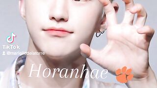 Horanghae Power