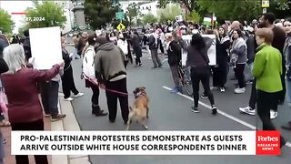Pro-Palestinian Demonstrators Confront Arriving Guests To White House Correspondents' Dinner