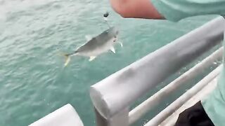 massive fish