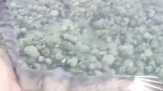 Vulture lands on Paraglider over Brazil