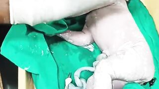 Vidéo Virale nouveau-né ❤️ lavage de l'estomac coupe du cordon ombilical.