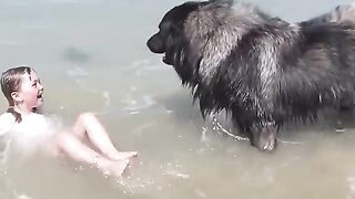 Baby girl and dog amazing circus performance in the world