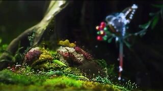 Hummingbird with flowers ???? animated nature