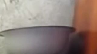 Funny Pets # funny cats and dogs