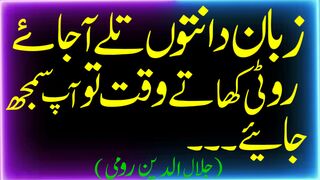 Rumi quotes in urdu|islamic quotes